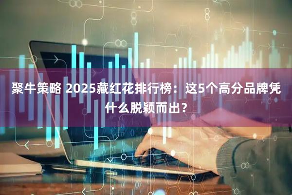 聚牛策略 2025藏红花排行榜：这5个高分品牌凭什么脱颖而出？
